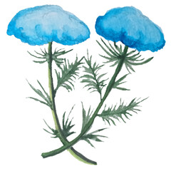 vector illustration of a blue flowers