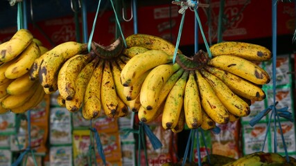 fresh banana, ready to be sold in traditional market