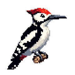 Fototapeta premium 딱따구리, 픽셀아트, jpeg (Woodpecker, pixel art, jpeg)