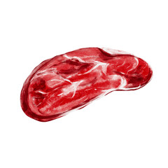 A piece of meat. Watercolor illustration without background. Red juicy fresh raw meat. Beef and lamb, horse meat. Steak for barbecue. Oval cut of meat. Food for men. Hunter's prey. Food for the dog