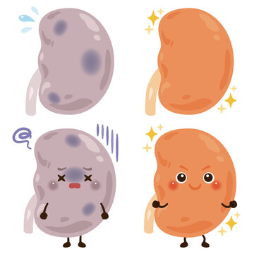 動きが鈍くなっている腎臓のキャラクターと元気な腎臓のキャラクター