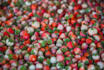 background from freshly harvested strawberries