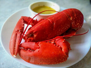 Cooked lobster: Healthy eating, Cooking for one, Decadent, delicious, tasty seafood. Whole cooked North Atlantic lobster served on white plate with melted garlic butter. 