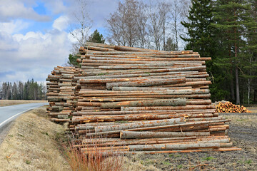 Large piles of spruce logs by rural asphalt road, waiting for transport to the sawmill. 