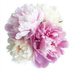 Fototapeta premium beautiful peony arrangement featuring soft pink and white blooms, perfect for wedding decoration or floral design