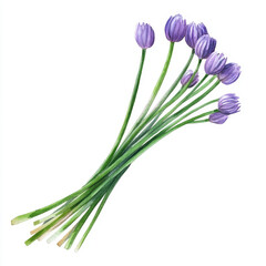 Fototapeta premium Fresh chive stalks with purple flowers, perfect for culinary use and decoration