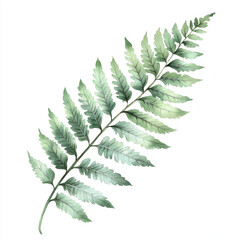 delicate fern leaf illustration showcasing intricate green details and natural beauty