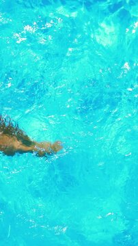 Fit swimmer in the swimming pool