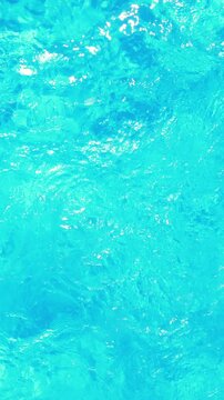 Fit swimmer in the swimming pool