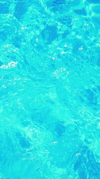 Fit swimmer in the swimming pool