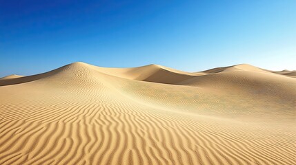 A desert landscape with wind-sculpted sand dunes and a bright, clear sky. The wind has shaped the dunes into graceful, flowing curves. The clear blue sky above adds to the feeling of vastness 