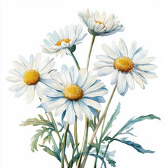 Fototapeta premium Whimsical daisy bunch with cheerful white petals and vibrant yellow centers, perfect for floral design enthusiasts
