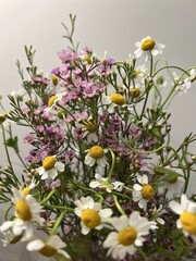 Fototapeta premium Blossoms of Joy in a Floral Embrace