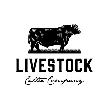 Angus cow logo with classic style design