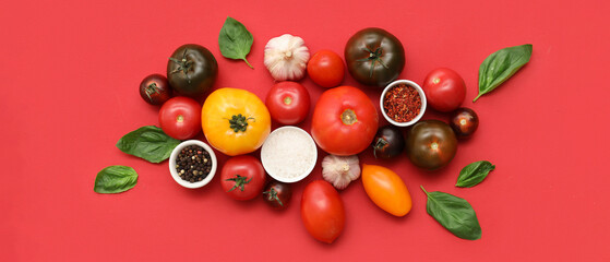 Fresh ripe tomatoes and different spices on red background