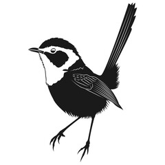 Beautiful Fairy Wren bird vector design _ Bright Colored Bird
