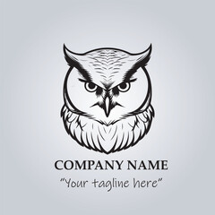Head of Owl logo company design vector illustration