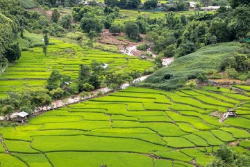 Fototapete Rund Terraced rice field at Mae Cham Chiangmai Northern Thailand © freedom_naruk