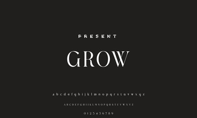 handwrite signature font Calligraphy Logotype Script Brush Font Type Font lettering handwritten