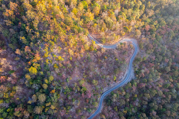 Top view of countryside road passing through the green forrest and mountain