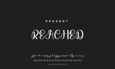 handwrite signature font Calligraphy Logotype Script Brush Font Type Font lettering handwritten