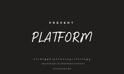 handwrite signature font Calligraphy Logotype Script Brush Font Type Font lettering handwritten