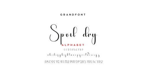 handwrite signature font Calligraphy Logotype Script Brush Font Type Font lettering handwritten