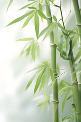 Digital abstract green bamboo soft dreamy tones illustration graphic poster background