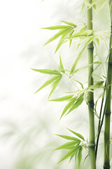 Digital abstract green bamboo soft dreamy tones illustration graphic poster background