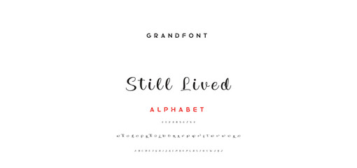 handwrite signature font Calligraphy Logotype Script Brush Font Type Font lettering handwritten