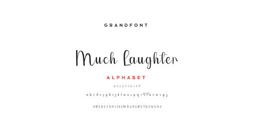 signature Font Calligraphy Logotype Script Brush Font Type Font lettering handwritten