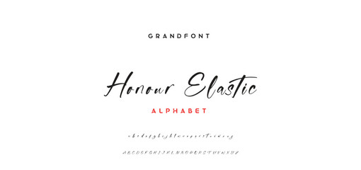 signature Font Calligraphy Logotype Script Brush Font Type Font lettering handwritten