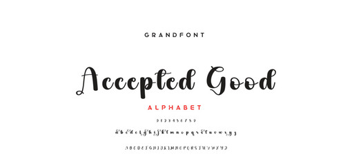 signature Font Calligraphy Logotype Script Brush Font Type Font lettering handwritten