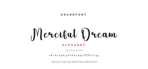 signature Font Calligraphy Logotype Script Brush Font Type Font lettering handwritten