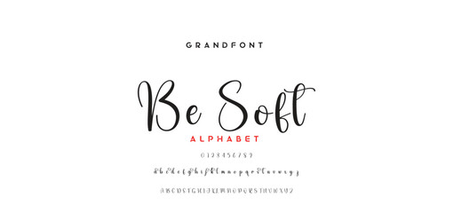 signature Font Calligraphy Logotype Script Brush Font Type Font lettering handwritten