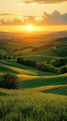 Fototapeta premium Golden Hour Landscape: Rolling Hills Bathed in Sunset's Glow