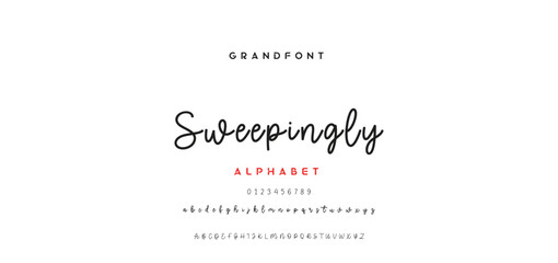 signature Font Calligraphy Logotype Script Brush Font Type Font lettering handwritten