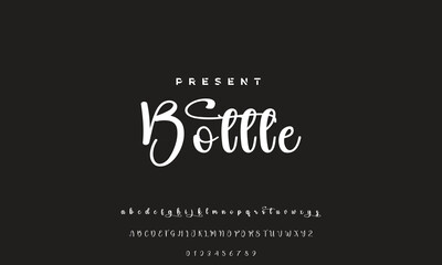 signature Font Calligraphy Logotype Script Brush Font Type Font lettering handwritten