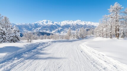 Obraz premium Snow-covered road winds through a winter forest of frost-laden pine trees toward majestic snow-capped mountains under a clear blue sky.
