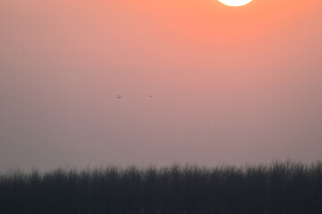 Fototapeta premium sunrise over the river