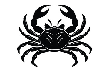 crab isolated on white background