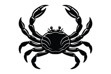 crab isolated on white background
