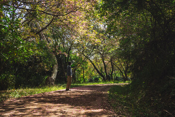 solo traveler in nature concept with asian man camping and sightseeing with pink cherry blossom tree in springtime season