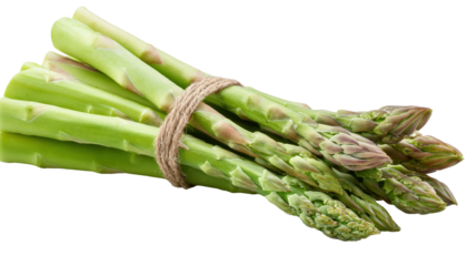 Asparagus, isolated on white background, full depth of field