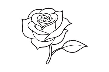 Line art illustration of a blooming rose flower for coloring books.eps