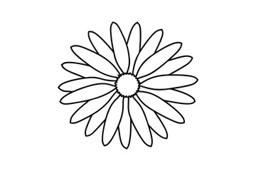 Line art illustration of a daisy flower for coloring books.eps