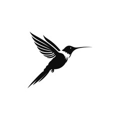 Fototapeta premium Hummingbird flying perching and on a white background in vector illustration