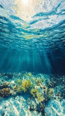 Obraz premium Sunlit ocean water surface above vibrant coral reef