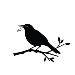 bird on a branch