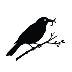 vector illustration of a bird